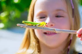 Tener una mantis